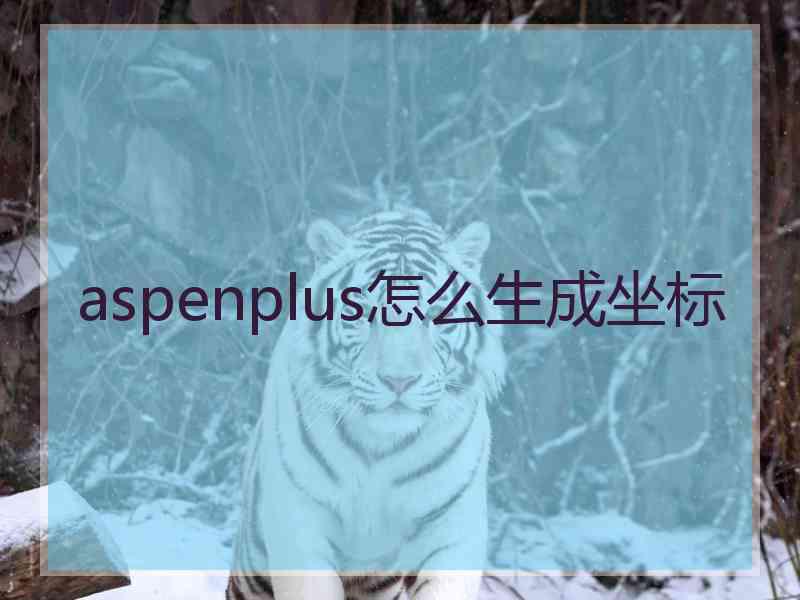 aspenplus怎么生成坐标