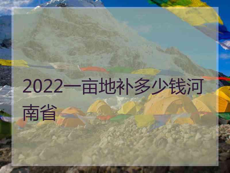 2022一亩地补多少钱河南省