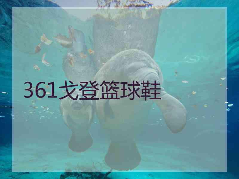 361戈登篮球鞋