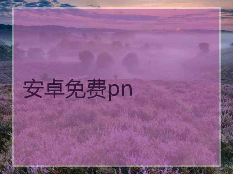 安卓免费pn