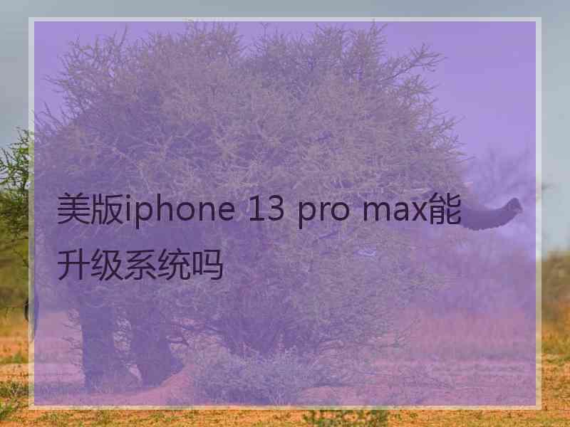 美版iphone 13 pro max能升级系统吗