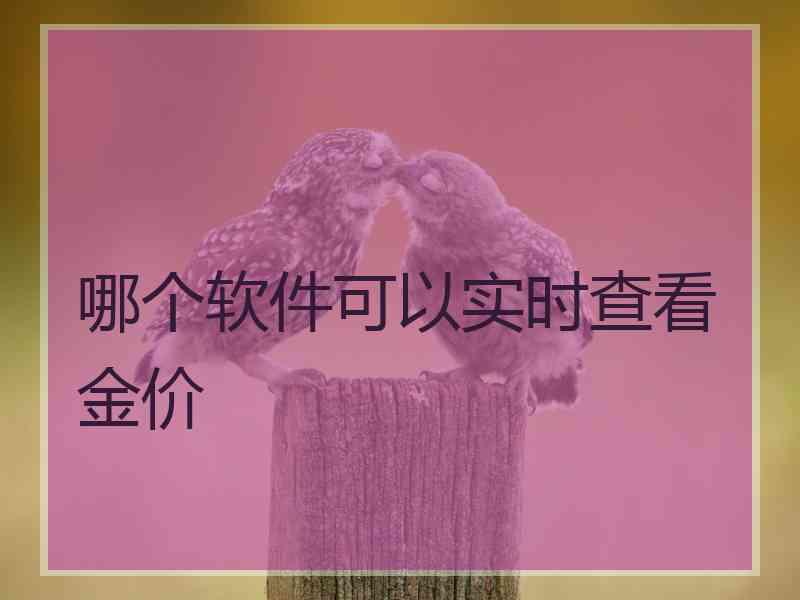 哪个软件可以实时查看金价