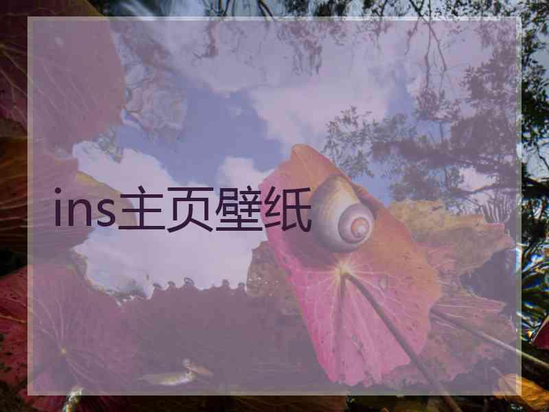 ins主页壁纸