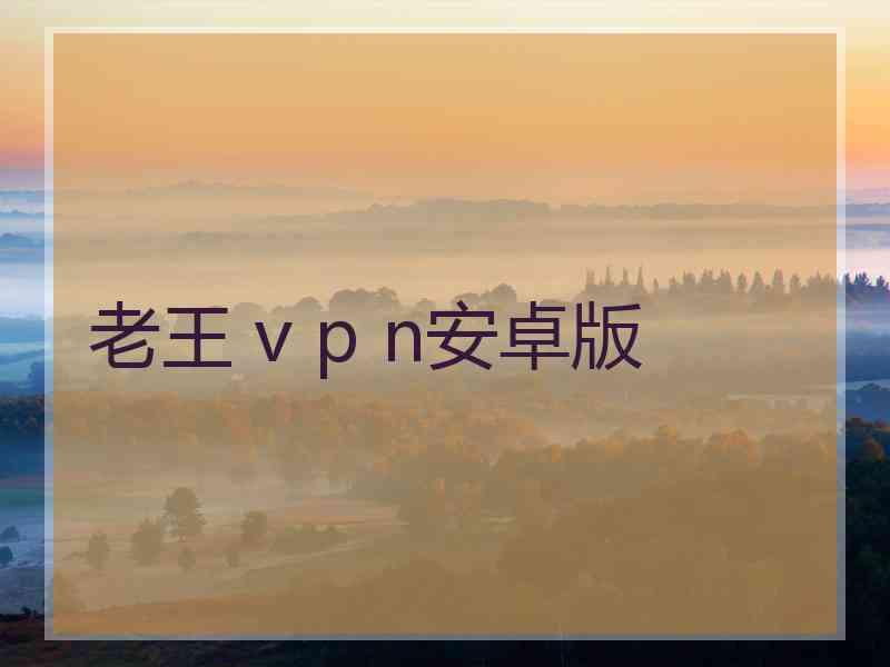 老王 v p n安卓版