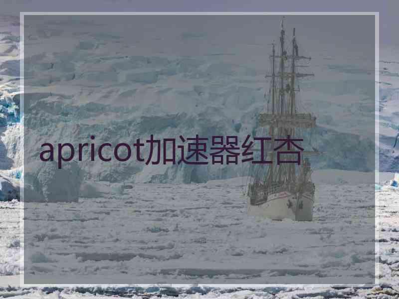 apricot加速器红杏