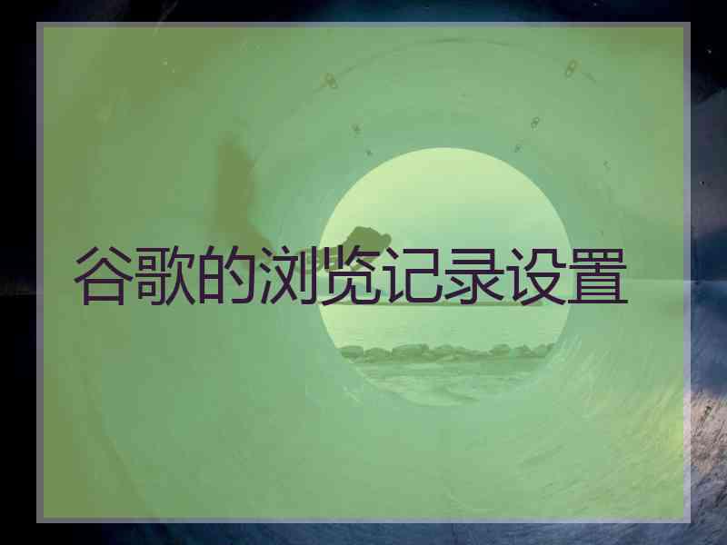 谷歌的浏览记录设置