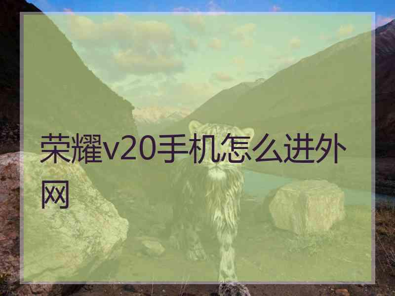 荣耀v20手机怎么进外网
