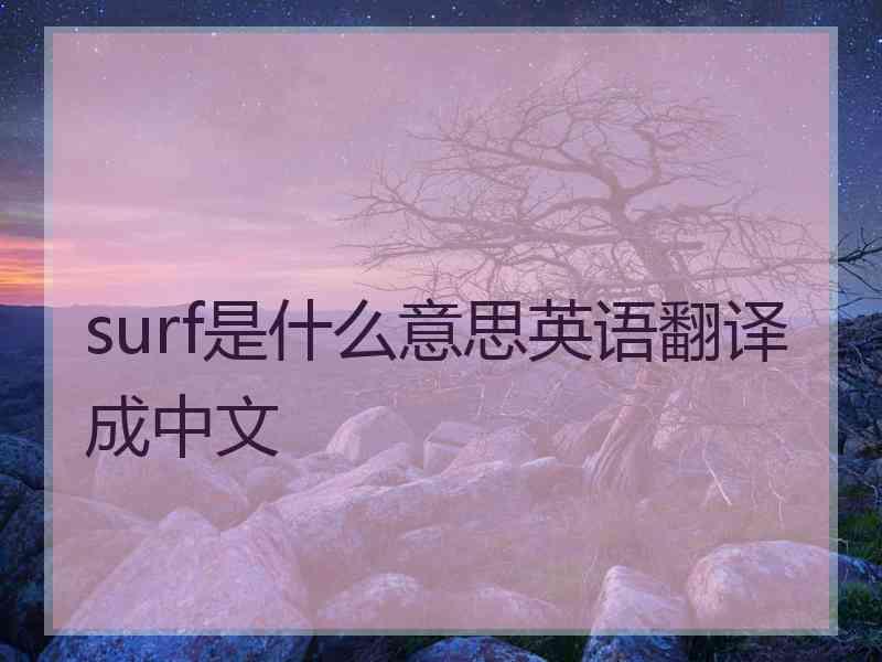 surf是什么意思英语翻译成中文
