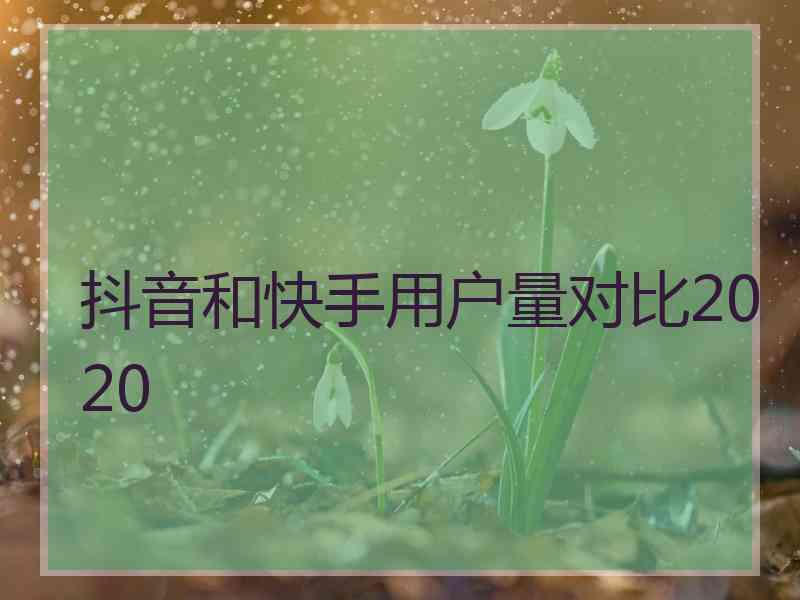 抖音和快手用户量对比2020