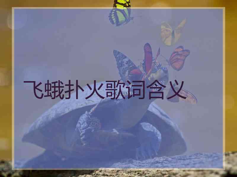 飞蛾扑火歌词含义