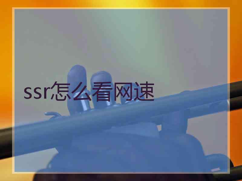 ssr怎么看网速