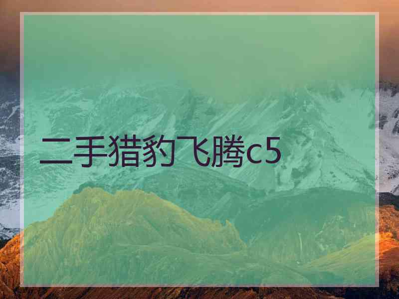 二手猎豹飞腾c5