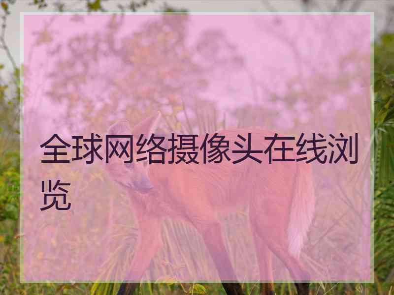 全球网络摄像头在线浏览