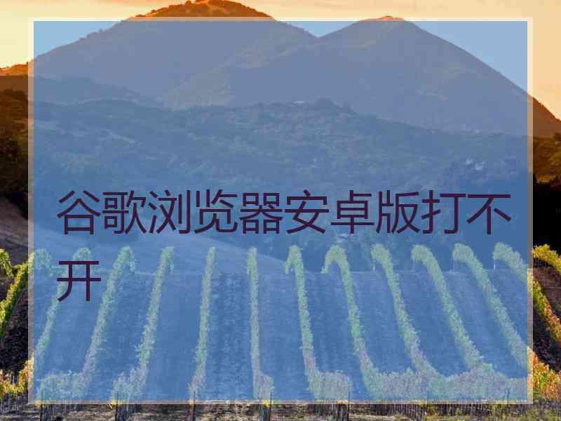谷歌浏览器安卓版打不开