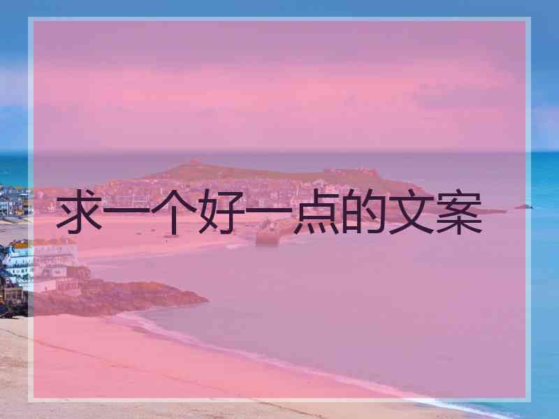 求一个好一点的文案
