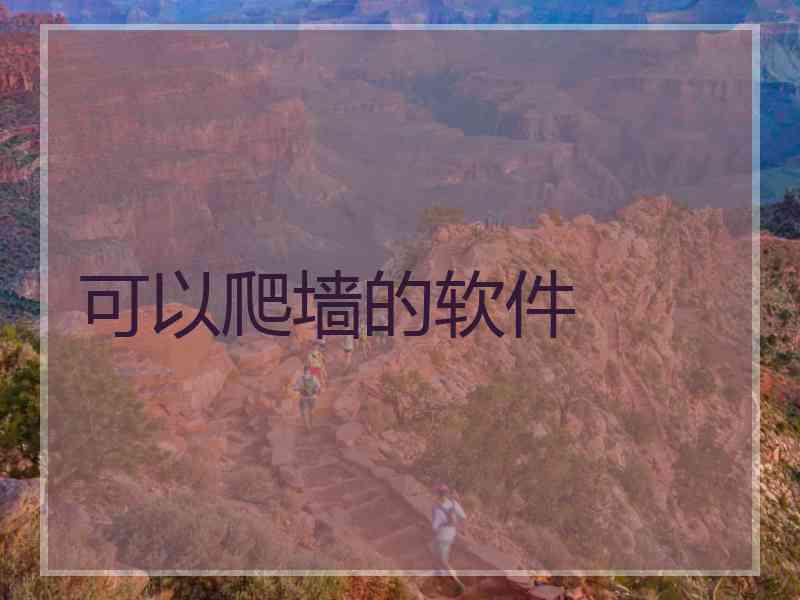 可以爬墙的软件
