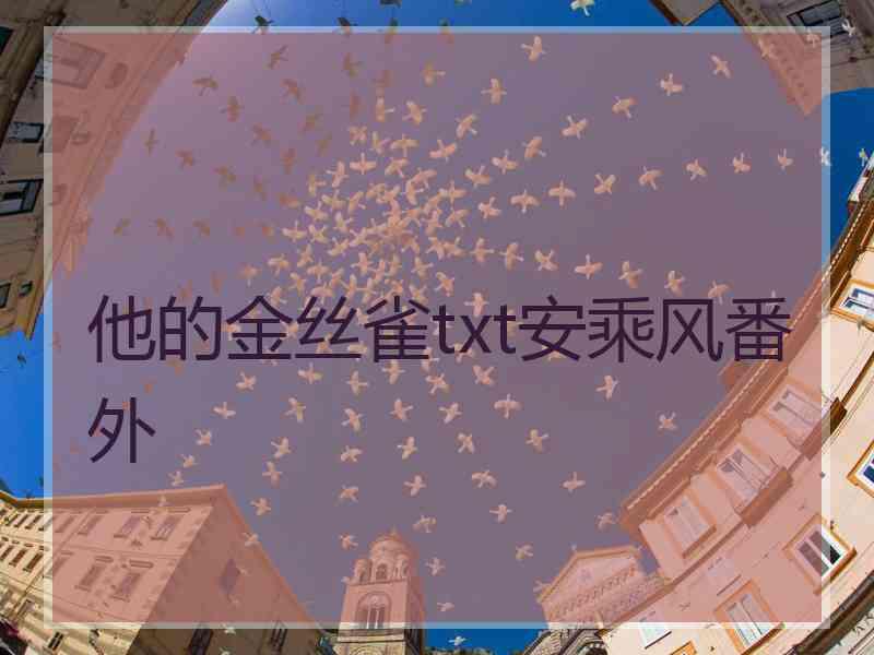 他的金丝雀txt安乘风番外