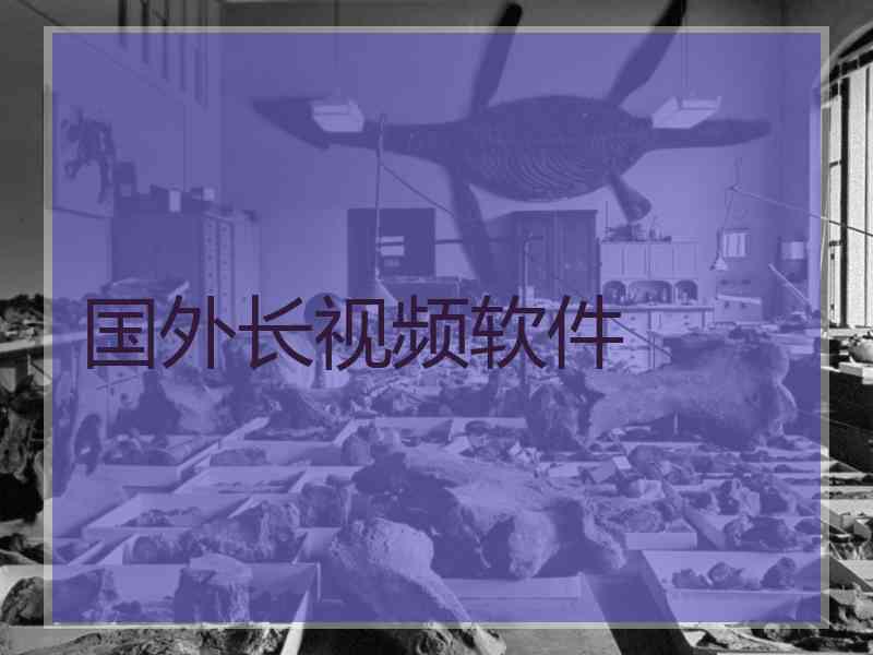 国外长视频软件