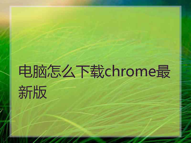 电脑怎么下载chrome最新版