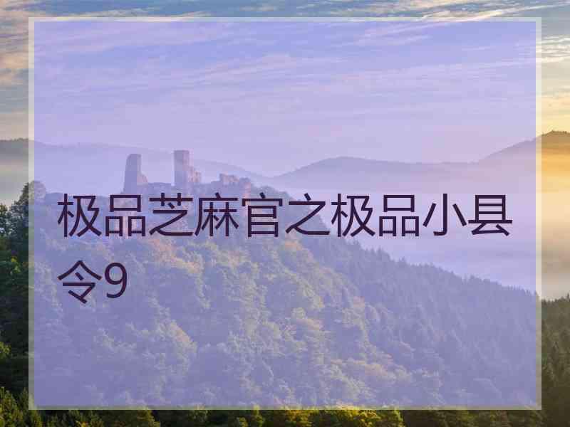 极品芝麻官之极品小县令9