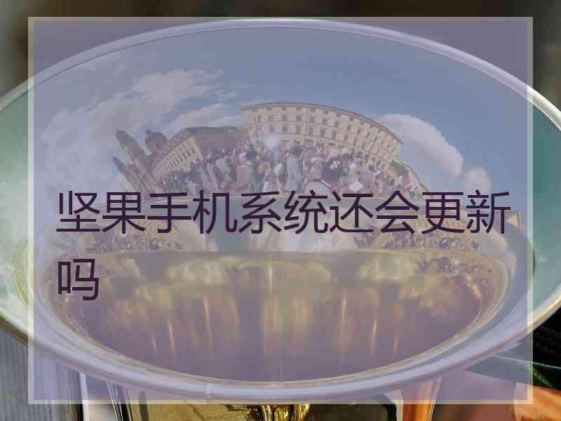 坚果手机系统还会更新吗