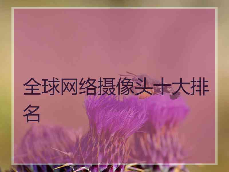 全球网络摄像头十大排名