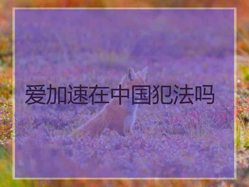 爱加速在中国犯法吗