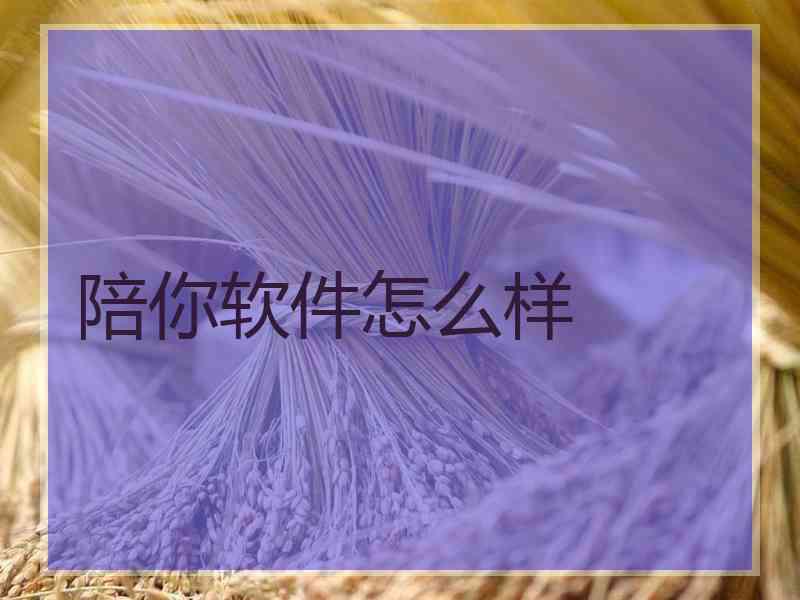 陪你软件怎么样