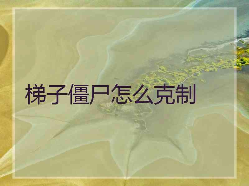 梯子僵尸怎么克制