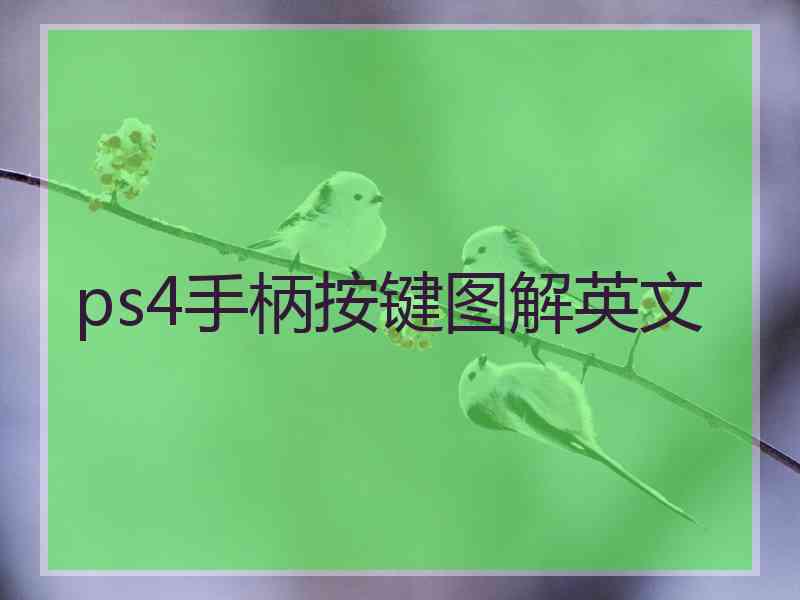 ps4手柄按键图解英文