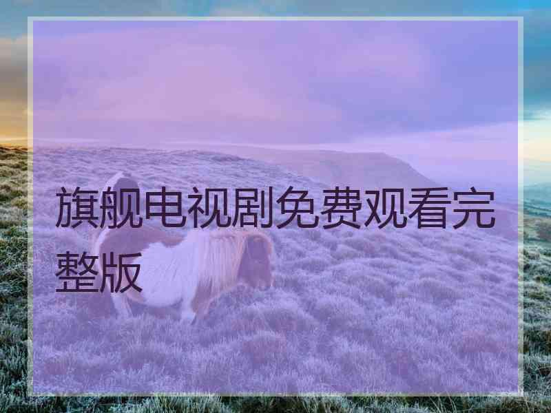 旗舰电视剧免费观看完整版
