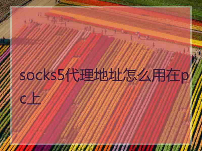 socks5代理地址怎么用在pc上