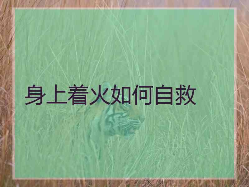 身上着火如何自救