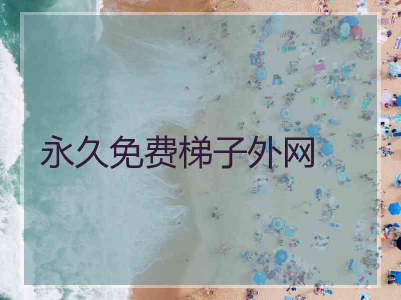 永久免费梯子外网