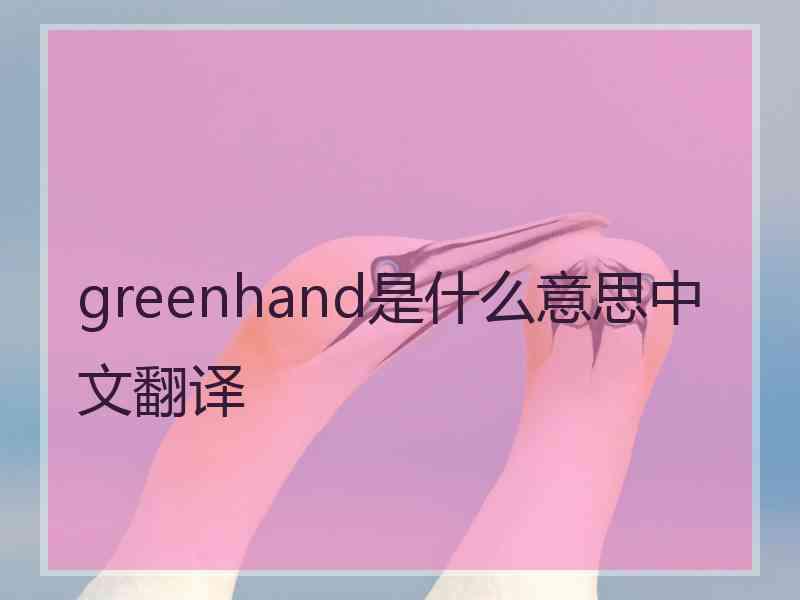 greenhand是什么意思中文翻译