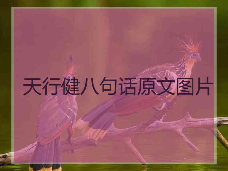 天行健八句话原文图片