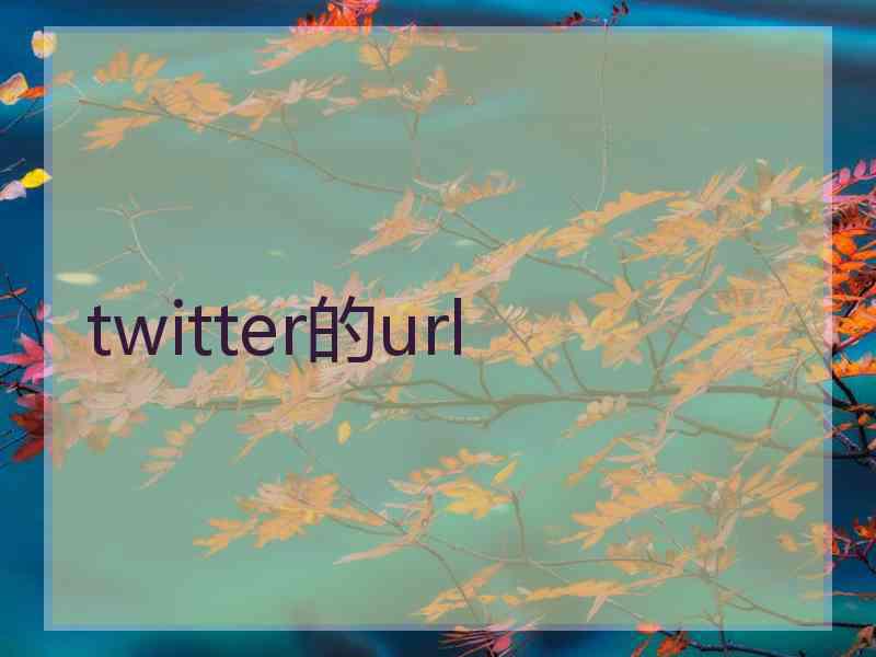 twitter的url