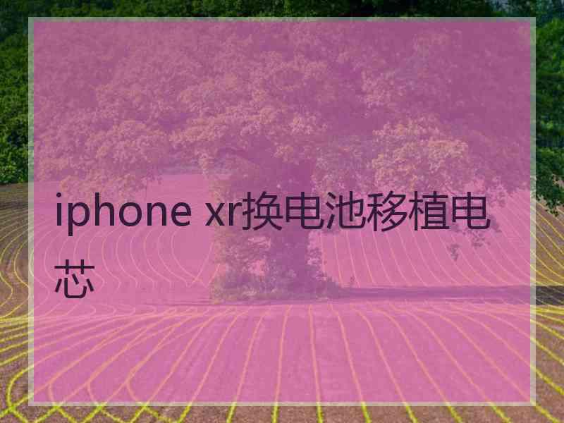 iphone xr换电池移植电芯