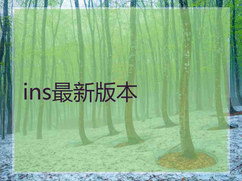 ins最新版本
