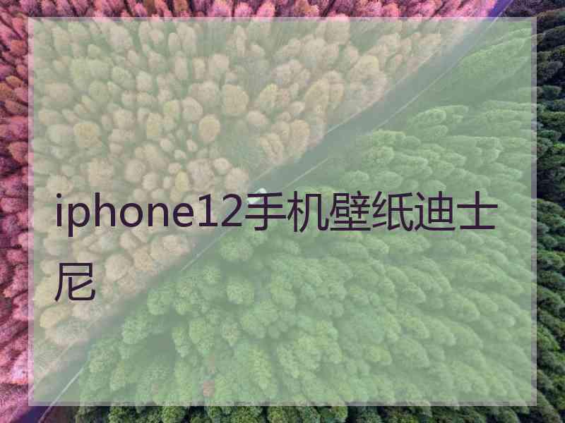 iphone12手机壁纸迪士尼