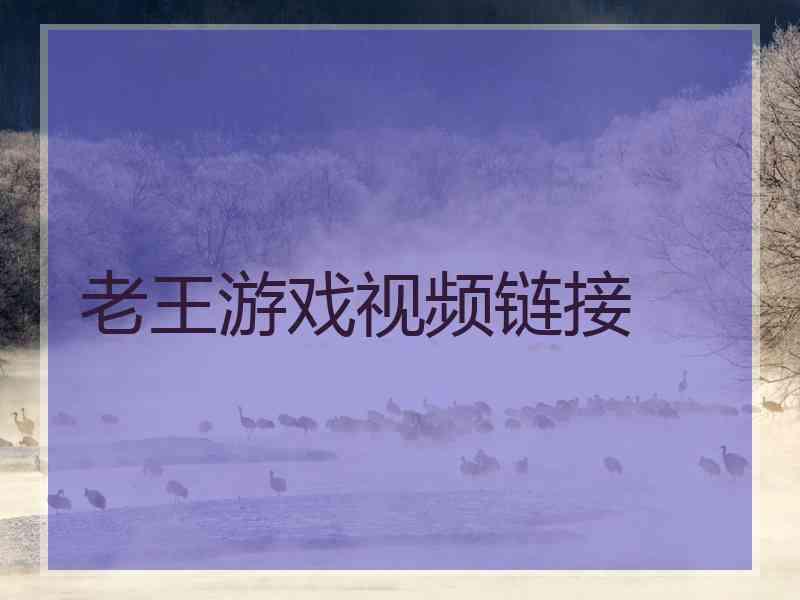 老王游戏视频链接