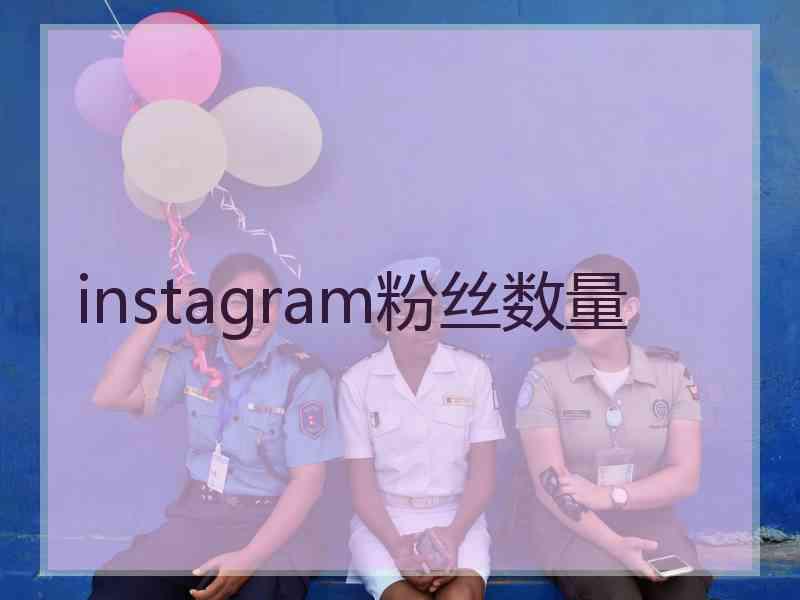 instagram粉丝数量