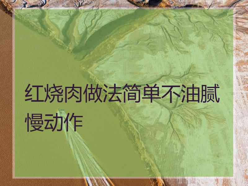 红烧肉做法简单不油腻慢动作