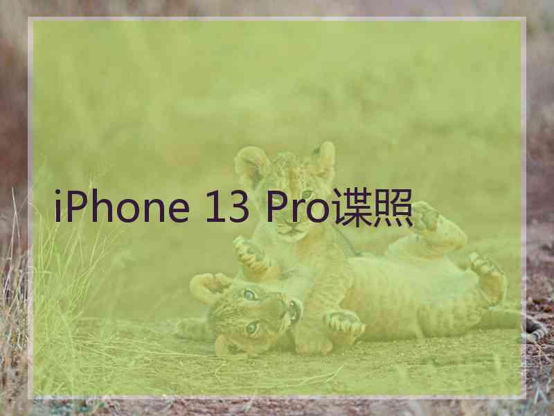 iPhone 13 Pro谍照