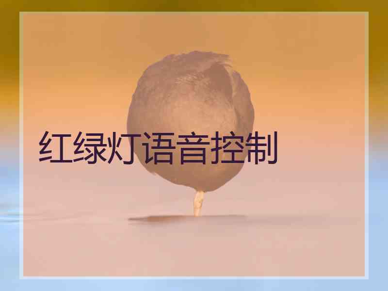 红绿灯语音控制