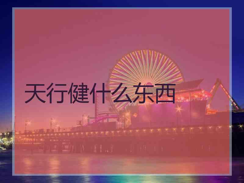 天行健什么东西