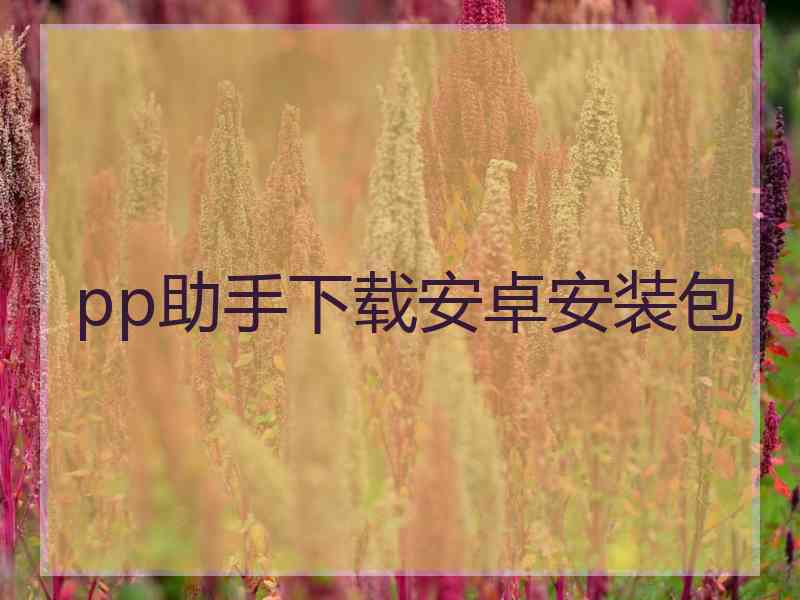 pp助手下载安卓安装包