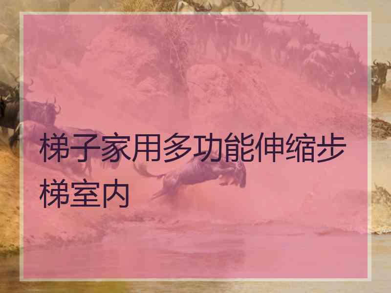 梯子家用多功能伸缩步梯室内