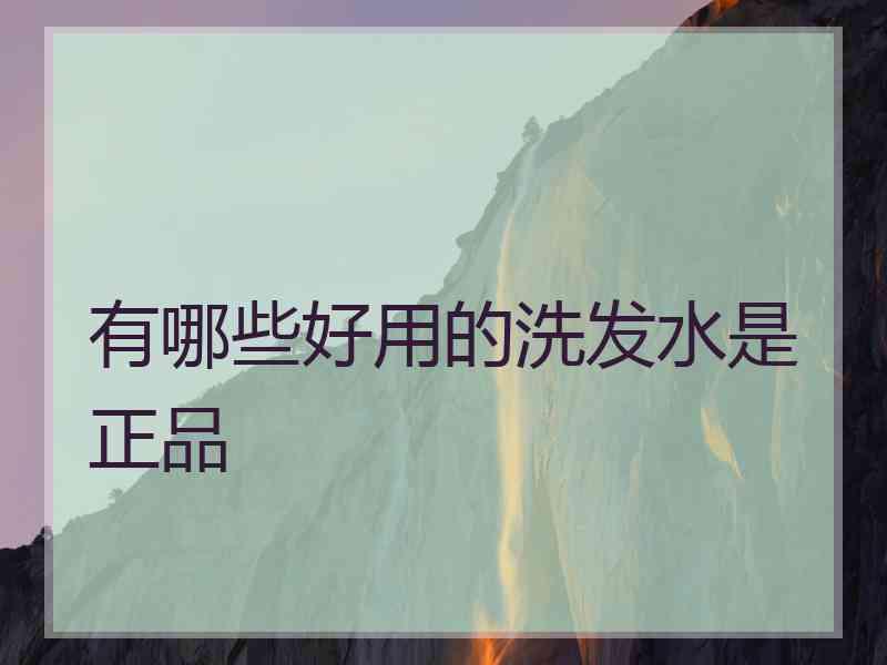 有哪些好用的洗发水是正品