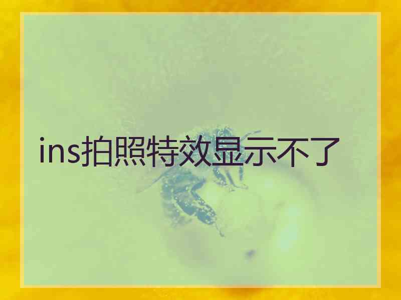 ins拍照特效显示不了